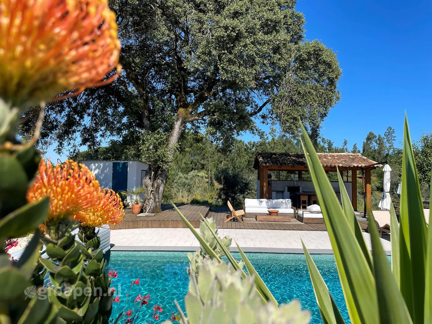 Vakantiehuis Castelo Branco, Portugal